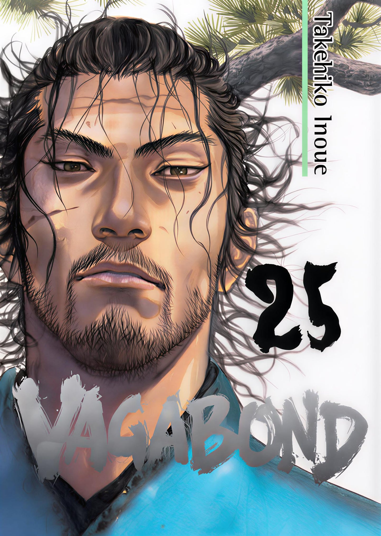 Vagabond Vol. 25