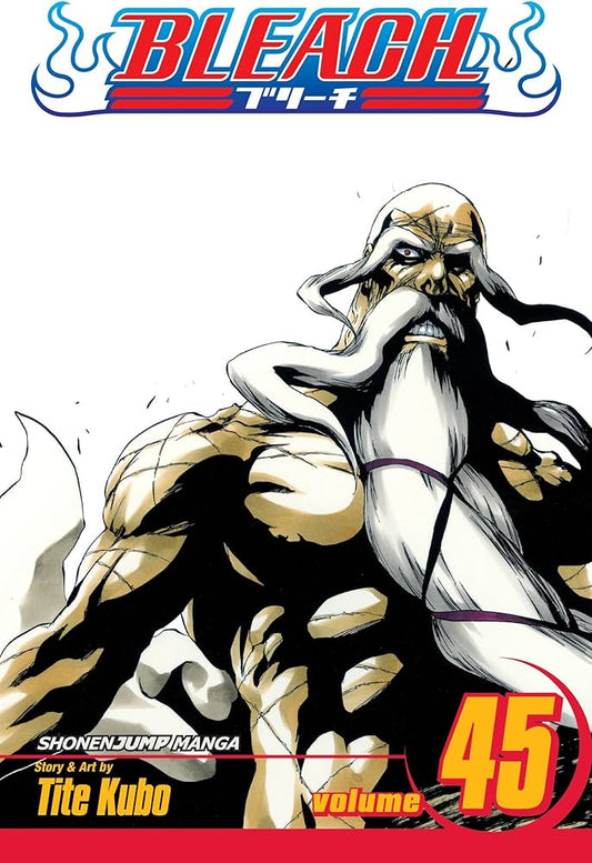 Bleach Vol. 45