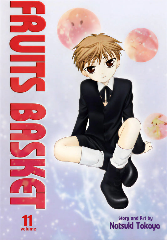 Fruits Basket Vol. 11